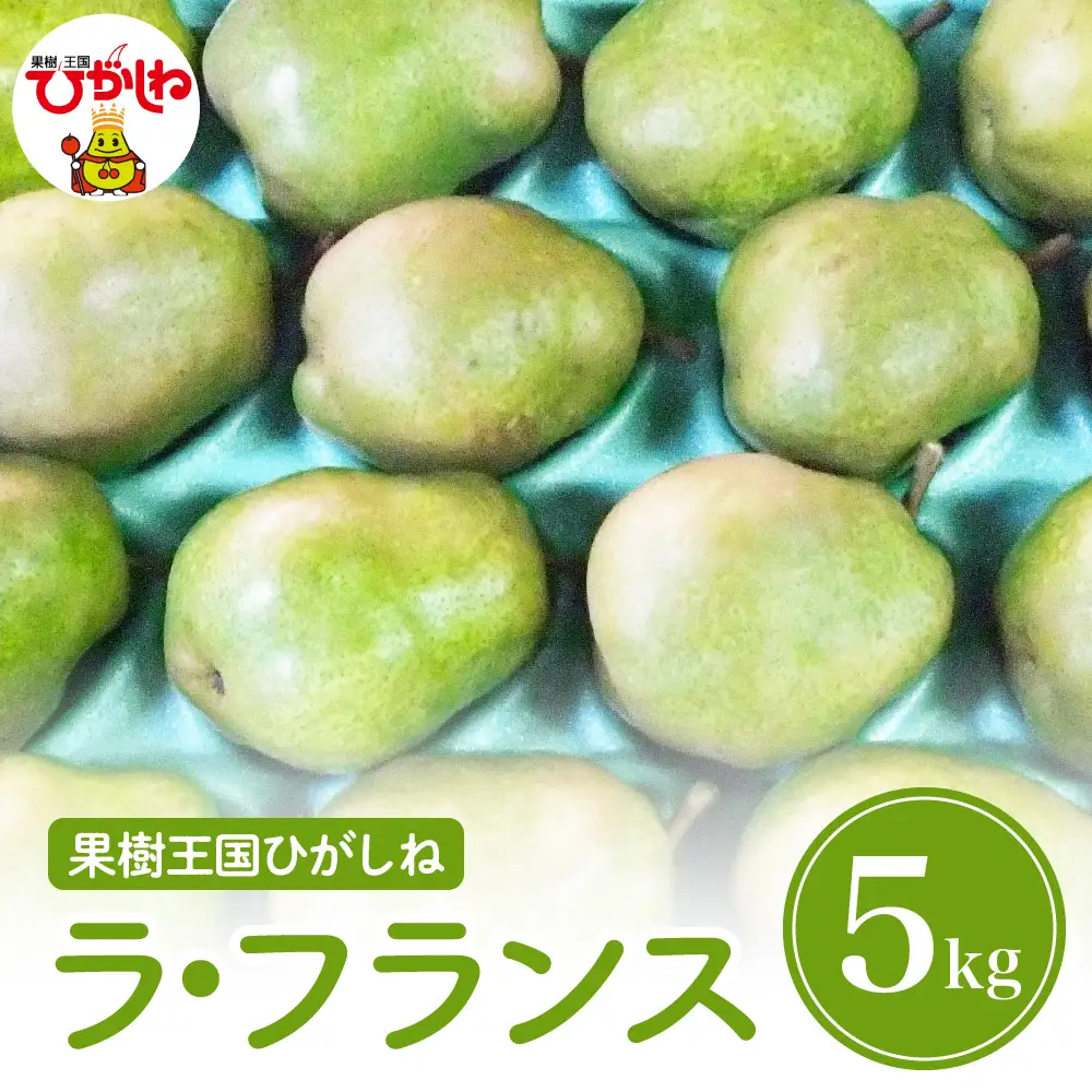 【2026年産】西洋梨 「 ラ・フランス 」 5kg ラ・フランス