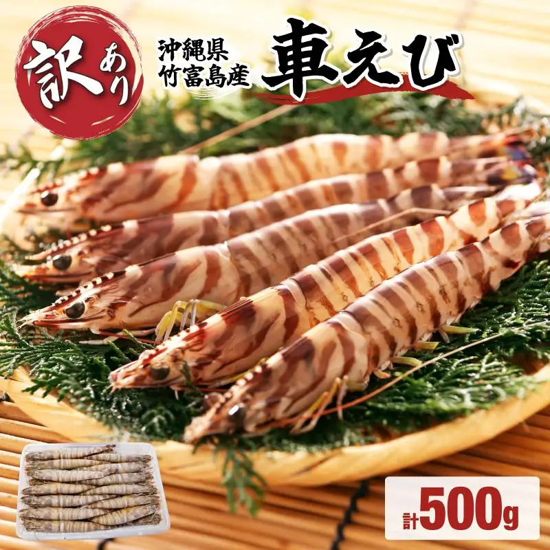 訳あり 竹富島産 冷凍車えび 規格外品 500g