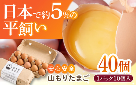 【家族に食べさせたい】平飼い 山もりたまご 40個 安心安全 おいしさに感動 たまご 卵 高級卵 平飼い 安心安全 飼料にこだわり 成長剤 ホルモン剤 添加物不使用
