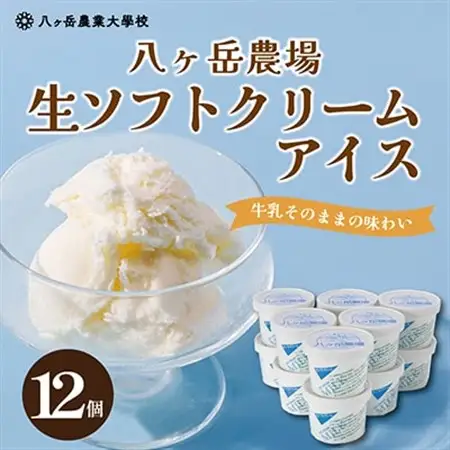 八ヶ岳農場 生ソフトクリームアイス 12個_菓子・スイーツ アイス・ジェラート  _【配送不可地域：離島】【1600425】