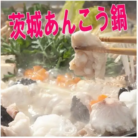 茨城あんこう鍋 4人前セット あんこう切身700gと濃縮スープ400g_魚介・海産物   _【配送不可地域：離島・沖縄県】【1592569】