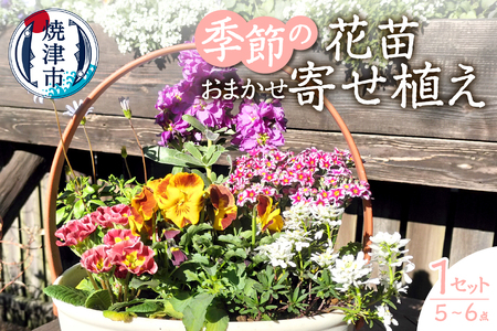 a10-1174　季節のおまかせ寄せ植えバスケット