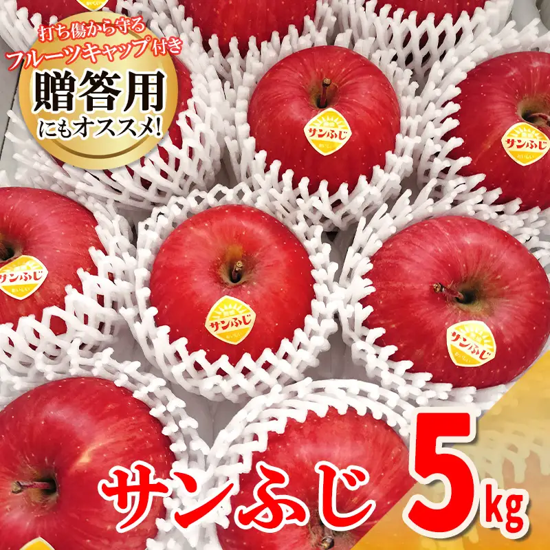 高橋りんご園　『サンふじ』5kg(12～14玉)　フルーツキャップ付き　贈答用にもオススメ！/さんふじ サンフジ サンふじ 送料無料 矢巾町産 りんご 予約 蜜 しゃきしゃき シャキシャキ 甘い 酸味 贈答 ギフト プレゼント リンゴ 林檎 果物 くだもの フルーツ 岩手県 矢巾町