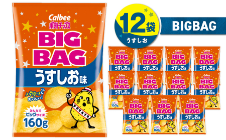 カルビー ポテトチップス BIGBAG【うすしお】12袋 K194-002_04 菓子
