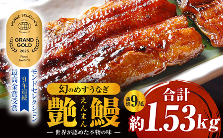 三河一色産　幻のめすうなぎ艶鰻　蒲焼9尾・T119