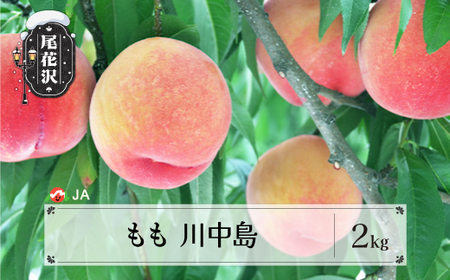 先行予約 もも 川中島 約2kg(約6~8玉) ◯秀以上 2026年産 令和8年産 8月中旬～9月上旬頃発送 桃 白桃 モモ 果物 フルーツ 山形県産 送料無料 ※沖縄・離島への配送不可 ja-moknx2-b
