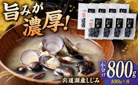 しじみ 宍道湖産 「しじみ」 100g×8 島根県松江市/有限会社ヤマヲ水産[ALDB016] しじみ しじみ