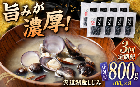 しじみ 【全3回定期便】宍道湖産 「しじみ」 100g×8 島根県松江市/有限会社ヤマヲ水産[ALDB017] しじみ しじみ
