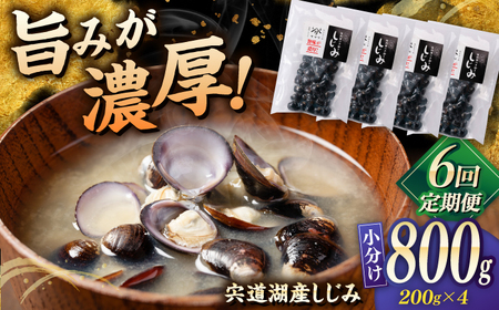 しじみ 【全6回定期便】宍道湖産 「しじみ」 200g×4 島根県松江市/有限会社ヤマヲ水産[ALDB022] しじみ しじみ
