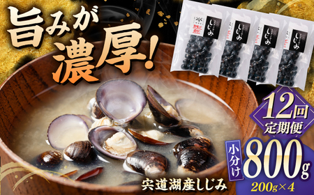 しじみ 【全12回定期便】宍道湖産 「しじみ」 200g×4 島根県松江市/有限会社ヤマヲ水産[ALDB023] しじみ しじみ