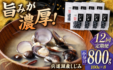 しじみ 【全12回定期便】宍道湖産 「しじみ」 100g×8 島根県松江市/有限会社ヤマヲ水産[ALDB019] しじみ しじみ