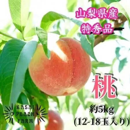 【2026年発送】厳選朝採り桃 山梨の笠井桃園の桃 約5kg【配送不可地域：離島】【1587434】