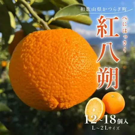 先行予約!紅はっさく 約5kg/12～18個入り(L～2Lサイズ)こだわり農家厳選!【1596975】