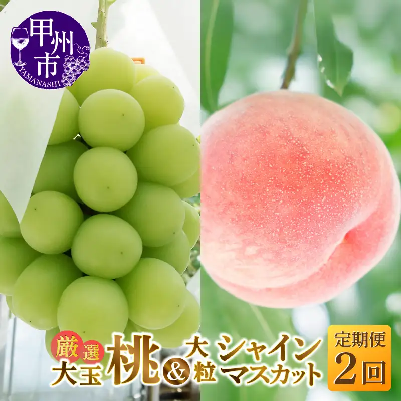 【定期便】大人気！甲州市産厳選旬の大玉桃・大粒シャインマスカット全2回定期便【2026年発送】（MG）C1-482 桃 シャインマスカット フルーツ