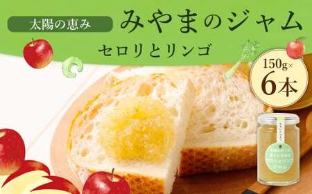 A309 太陽の恵み みやまのジャム セロリとリンゴ 6本入 調味料 ジャム トースト 手作り セロリ リンゴ 福岡県 みやま市