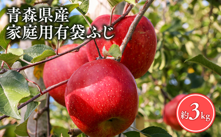 【レビューキャンペーン】【5月～6月発送】家庭用有袋ふじ３kg【丸勝木村商店・青森りんご】[hi-0055-004]