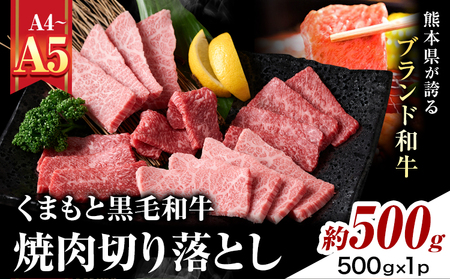 【A4～A5】くまもと黒毛和牛 焼肉切り落とし 約500g(500g×1p) 《30日以内に出荷予定(土日祝除く)》熊本県 大津町 黒毛和牛 肉 お肉 和牛 牛 牛肉 A5 A4 焼肉 切り落とし MEAT PLUS