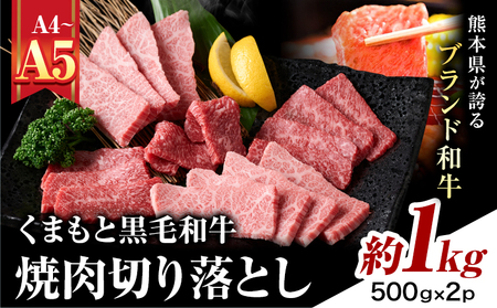 【A4～A5】くまもと黒毛和牛 焼肉切り落とし 約1kg(500g×2p) 《30日以内に出荷予定(土日祝除く)》熊本県 大津町 黒毛和牛 肉 お肉 和牛 牛 牛肉 A5 A4 焼肉 切り落とし MEAT PLUS
