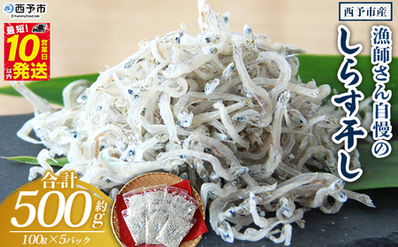 ＜漁師さん自慢のしらす干し 500g(100g×5パック)＞ シラス 魚介類 さかな 海産物 海鮮 海の幸 小分け 国産 ご飯のお供 丼 おつまみ 晩酌 おかず おやつ 特産品 産地直送 濱田水産 愛媛県 西予市 【冷凍】『最短10営業日以内に順次発送予定』AHS0009