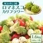 冷凍カットロマネスコカリフラワー 400g×4袋（1.6kg）