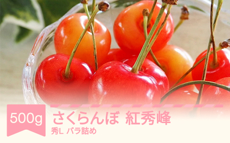 先行予約 さくらんぼ 紅秀峰 500g 令和8年産 ns-bsslb500