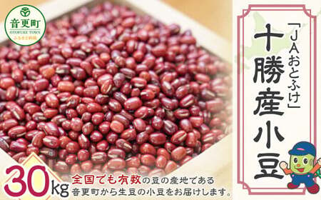 【令和7年産】 小豆30kg「JAおとふけ」【D42-02】 あずき 北海道