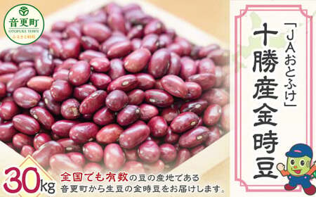 【令和7年産】 金時豆30kg「JAおとふけ」【D44-03】 きんときまめ 北海道