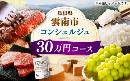 コンシェルジュ 【雲南市コンシェルジュ】返礼品おまかせ！寄附額30万円コース 300000円 [AIDM004]