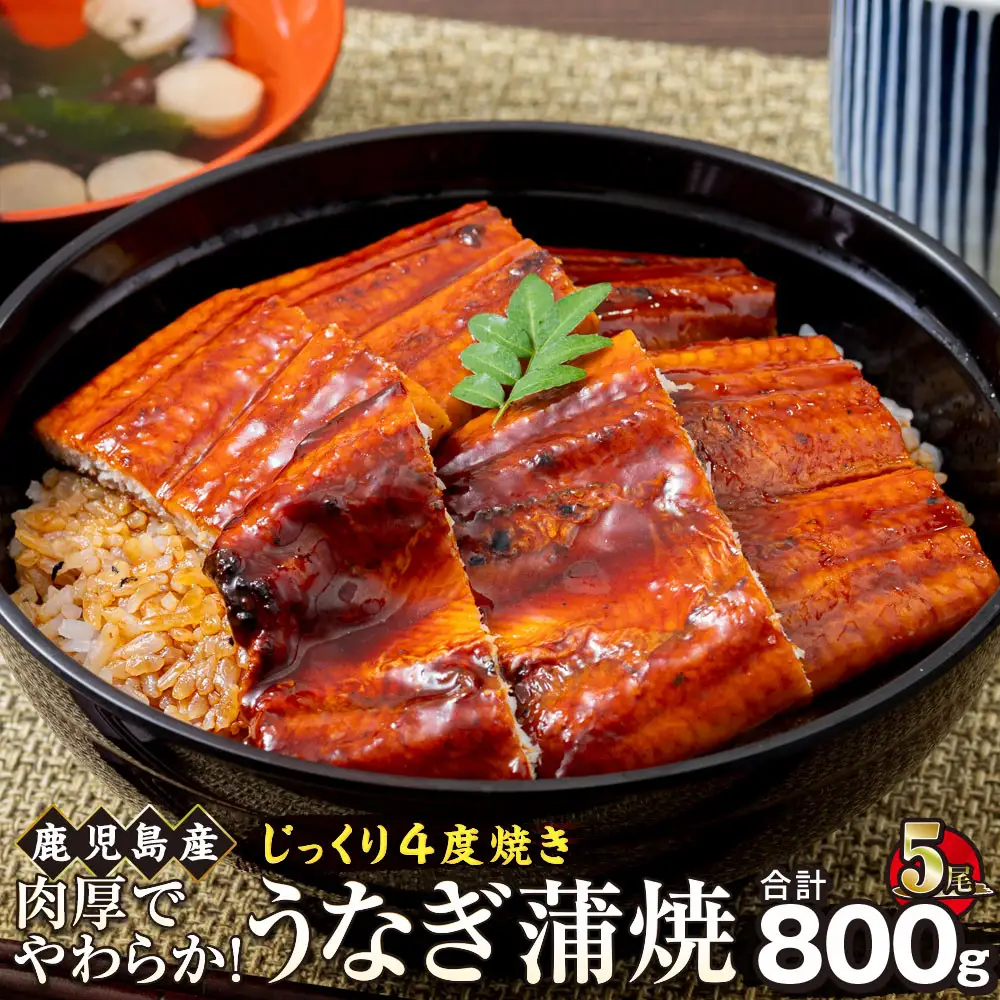 うなぎ 蒲焼 160g×5尾【鹿児島産】地下水で育てた絶品鰻｜うなぎ