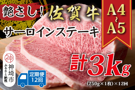 【12か月定期便】【A4～A5】佐賀牛サーロインステーキ 250g×12回(H112192)