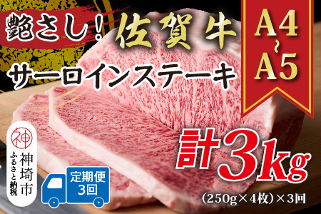 【3か月定期便】【A4～A5】佐賀牛サーロインステーキ 計1kg×3回(H112196)