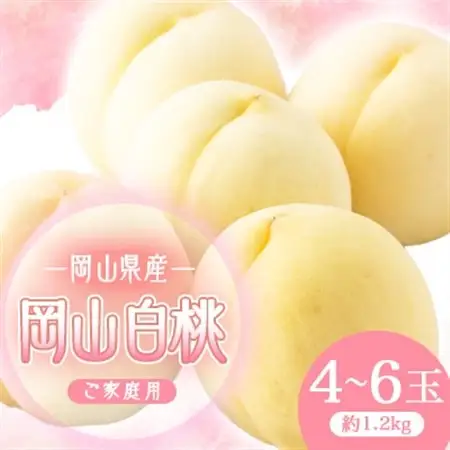 2026年先行予約　岡山白桃(ご家庭用)1.2キロ(1箱4～6玉)_果物・フルーツ もも  モモ 桃_【配送不可地域：離島】【1598090】