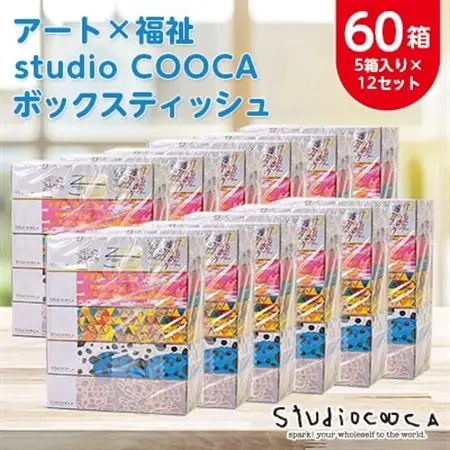 アートパッケージボックスティッシュ60箱【5箱入り×12セット】【1箱150組(300枚)】【1589794】
