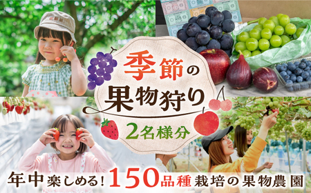 チケット 果物狩り 体験 2名様分 [APAA001] チケット
