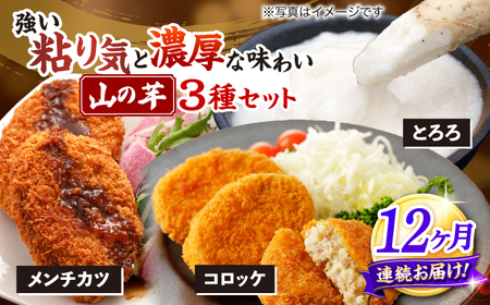 【全12回定期便】山の芋3種セット[APAD008] 冷凍食品 おかず 惣菜