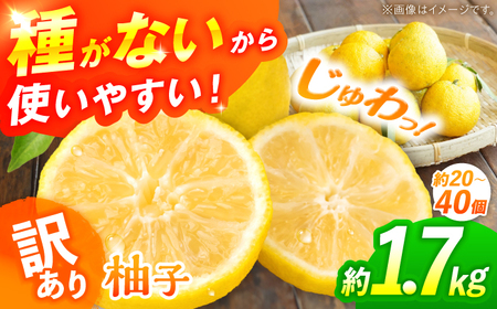 【訳あり】【2026年先行予約】種なし柚子1.7kg ＜2026年11月中旬より順次発送＞[APAQ003] ゆず