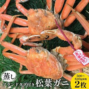 109.【蒸し】 ブランド タグ付き 松葉ガニ  500～640g前後 2枚 ※2026年11月上旬～2027年3月上旬頃に順次発送予定  | カニ  松葉ガニ 蟹