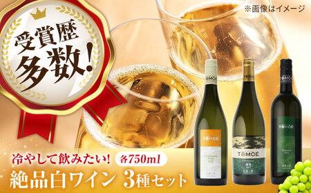 【スピード発送】冷して飲みたい白ワイン3本セット[APAZ032] ワイン