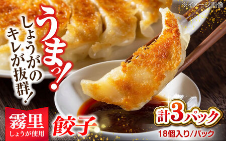 ぎょうざ しょうが餃子[APAZ046]ぎょうざ