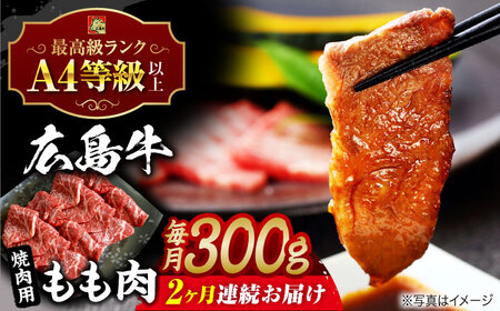 【全2回定期便】牛肉 焼肉 もも肉 [APAZ061] 牛肉
