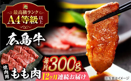 牛肉 【全12回定期便】 焼肉 もも [APAZ064] 牛肉
