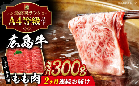 【全2回定期便】牛肉 牛しゃぶ用 300g [APAZ065] 牛肉