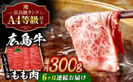 【全6回定期便】牛肉 牛しゃぶ用 300g [APAZ067] 牛肉