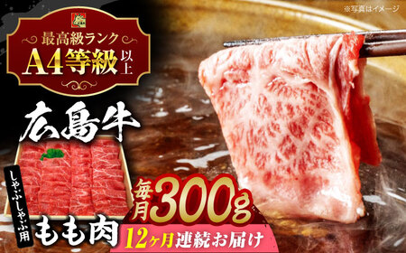 【全12回定期便】牛肉 牛しゃぶ用 300g [APAZ068] 牛肉