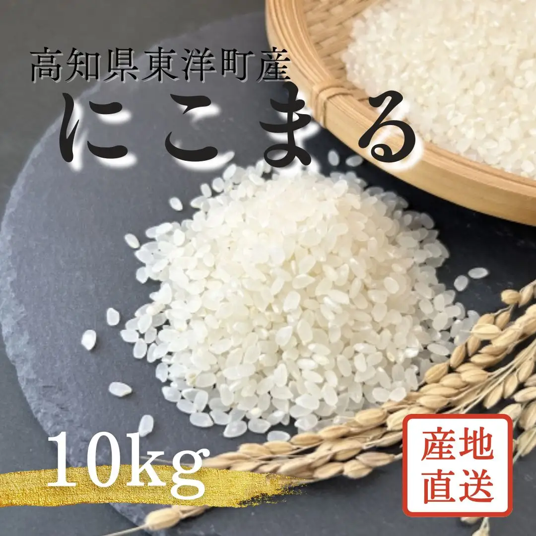 S249-2 ＜2026年10月発送＞令和8年産にこまる ＜10kg＞国産 米 お米 高知県産