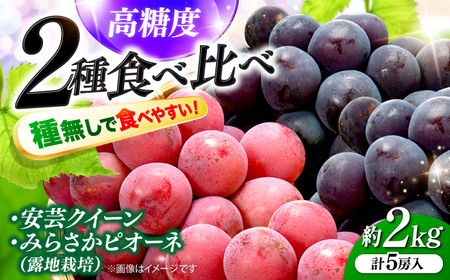 【2026年先行予約】ぶどう みらさかピオーネ2房＆安芸クイーン3房 ＜8月下旬頃から順次発送＞[APBE005] ピオーネ ぶどう