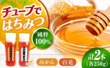 はちみつ チューブ2本セット（百花・みかん）各250g [APBO009] はちみつ