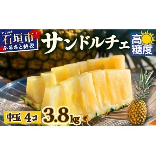 【先行予約】石垣島産 中玉サンドルチェ４玉 合計約3.8kg 
