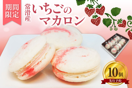 常滑いちごのマカロン10個セット | いちご 苺 ストロベリー マカロン お菓子 発酵 バター バタークリーム ご褒美 プレゼント 数量限定 パティスリーマージュ 愛知県 常滑市
