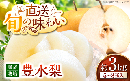 梨「豊水」3kg [APBU001] なし
